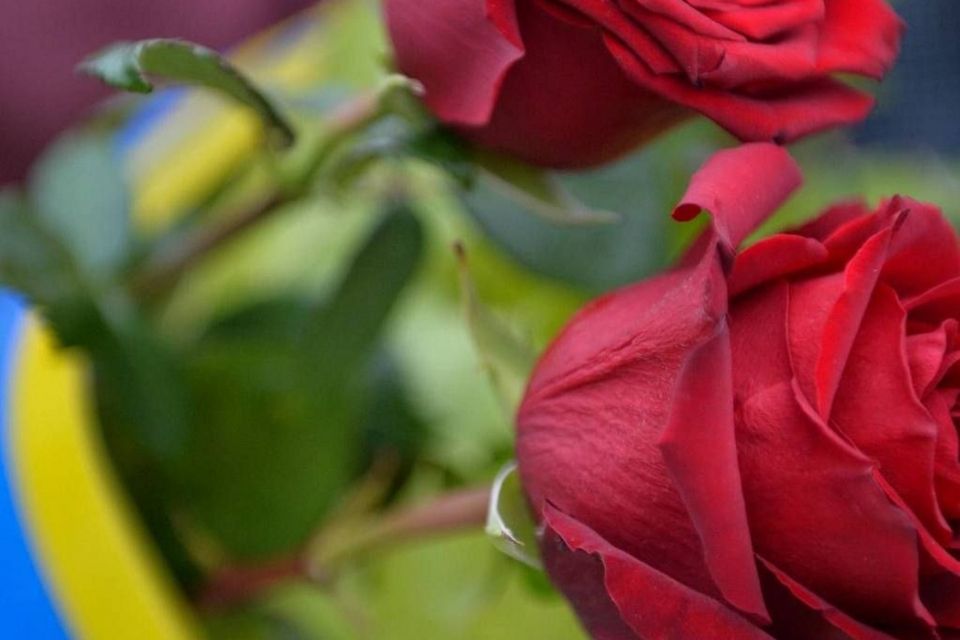 Лише через рік і чотири місяці на щиті повернувся до рідного Житомира Герой Руслан Рибачок