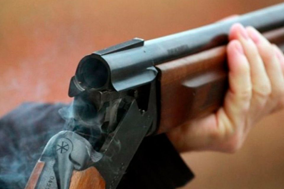 Бердичівлянин застрелив сусідського собаку з пневматичної рушниці: йому оголошено про підозру у жорстокому поводженні з твариною