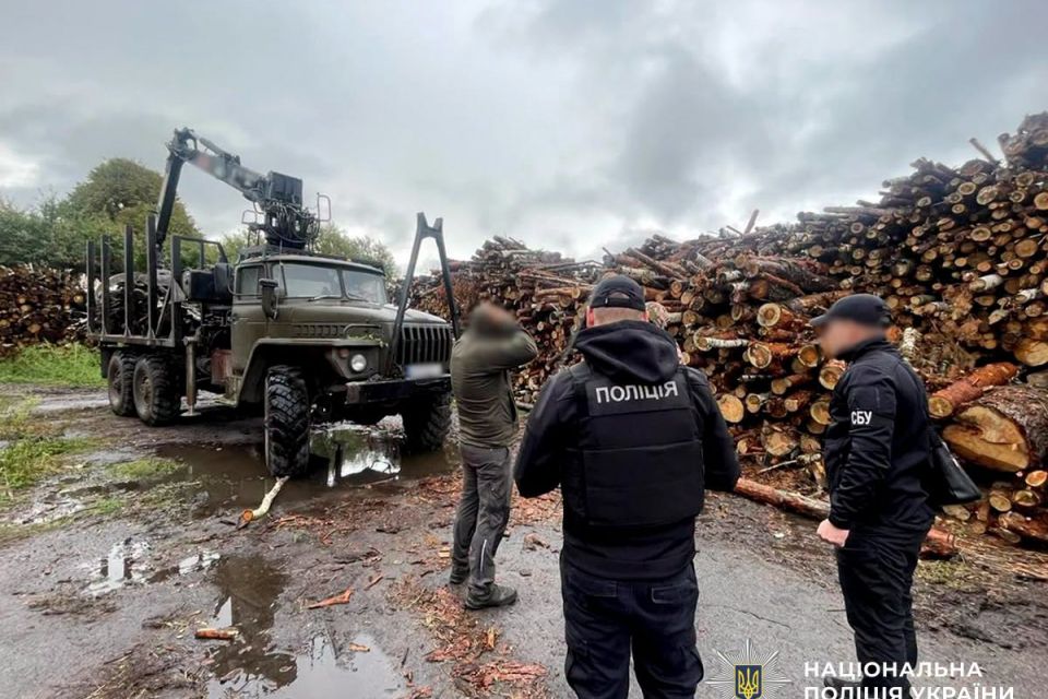 Збитки на понад 33 мільйони гривень: на Житомирщині поліцейські викрили групу «чорних» лісорубів