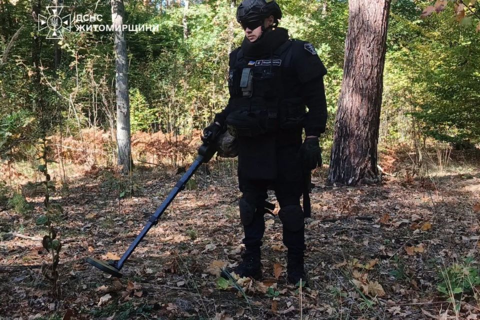 Шукали гриби - знайшли авіабомбу: у Березівці знешкодили снаряд часів Другої світової