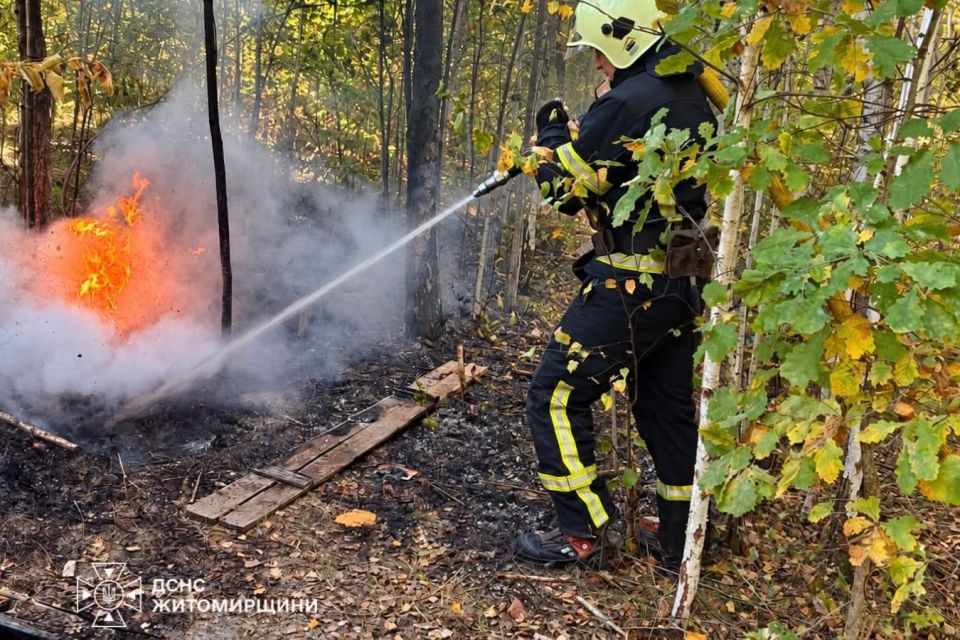Минулої доби рятувальники області 6 разів виїжджали на гасіння пожеж сухої трави