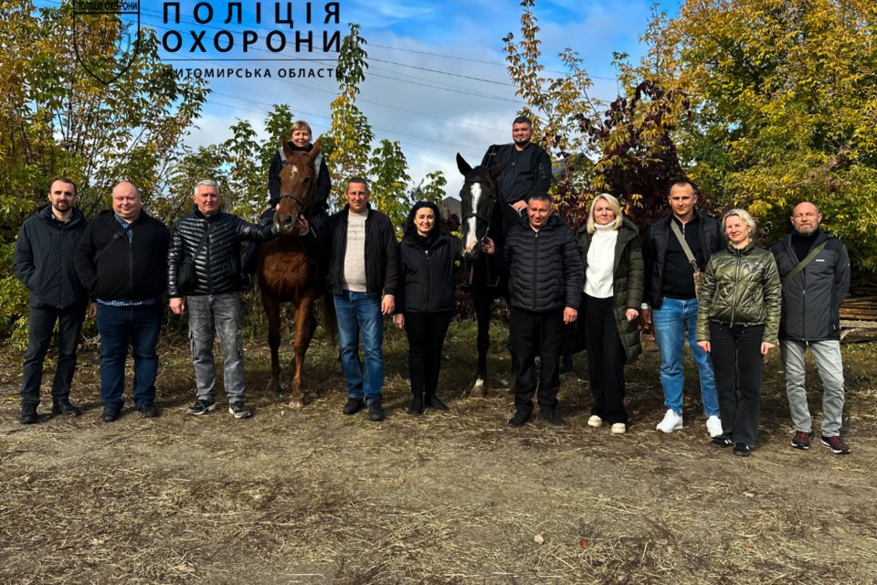 Підтримка без слів: як іпотерапія об'єднала захисників Житомирщини