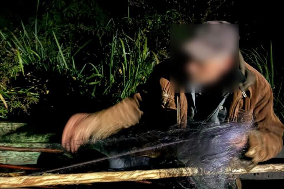 Поблизу Троянова на річці Гнилоп’ять екоінспектори виявили вилов риби забороненою сіткою