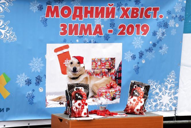 Житомирські песики дефілювали у модному вбранні