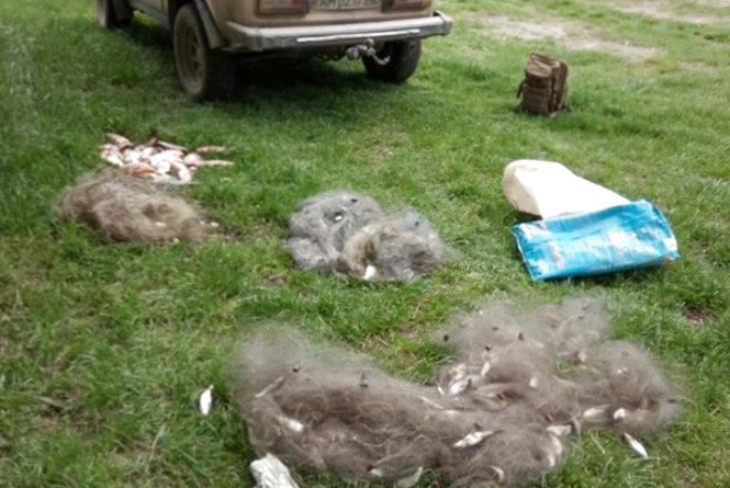 Браконьєри ігнорують заборону на вилов водних біоресурсів