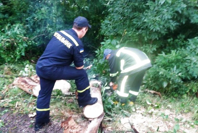 Через грози і шквальний вітер в області залишаються знеструмленими 8 населених пунктів