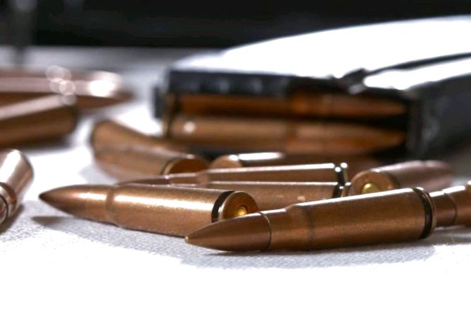 Житомирські митники вилучили у громадянина 14 набоїв