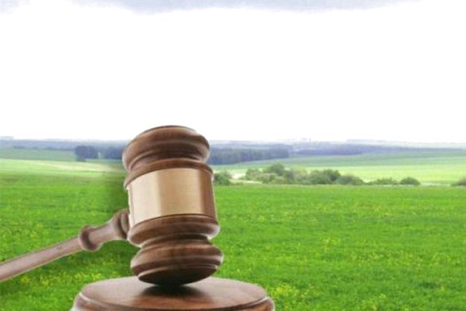 Понад 2 млн грн щорічно надходитиме до місцевих бюджетів Житомирщини завдяки земельним торгам, проведеним у І півріччі 2019 року