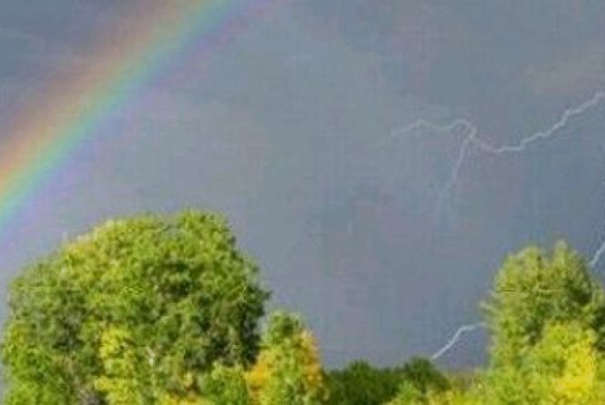 Погода у Житомирі 11 липня: очікується дощ з грозою