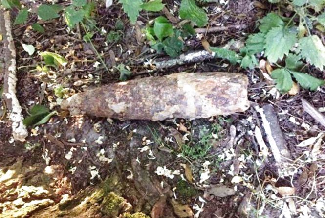У Коростишівському районі знайдено два вибухонебезпечні предмети часів минулих війн