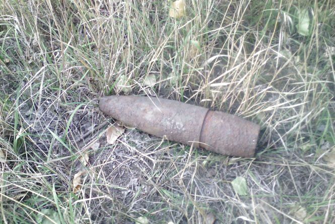 Новини Житомира - фото з У Тетерівці грибники знайшли старий артилерійський снаряд У Тетерівці грибники знайшли старий артилерійський снаряд