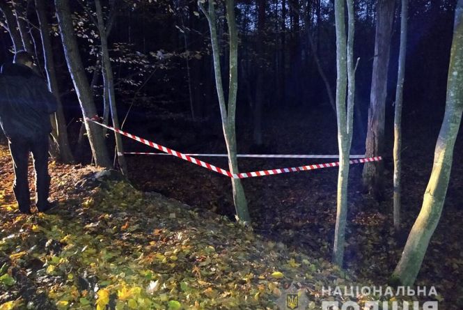 На узліссі біля с. Тригір’я виявлено понад 300 боєприпасів