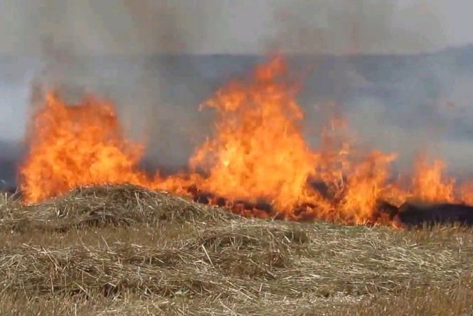 На Житомирщині кількість пожеж у порівнянні з аналогічним періодом минулого року зросла вдвічі, проте загиблих поменшало