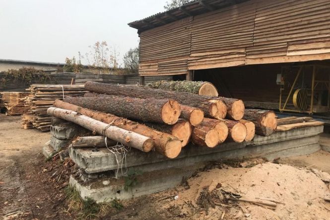 Обшуки на лісопильнях: виявлено близько 40 м3 колод дубу та сосни та виробів з деревини із сумнівною документацією