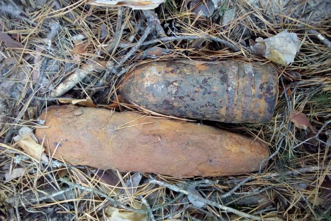 На плантації лохини знайшли снаряд, а в лісі — міну