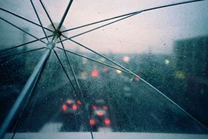 Погода у Житомирі 7 листопада: хмарно, прохолодно, вдень дощитиме