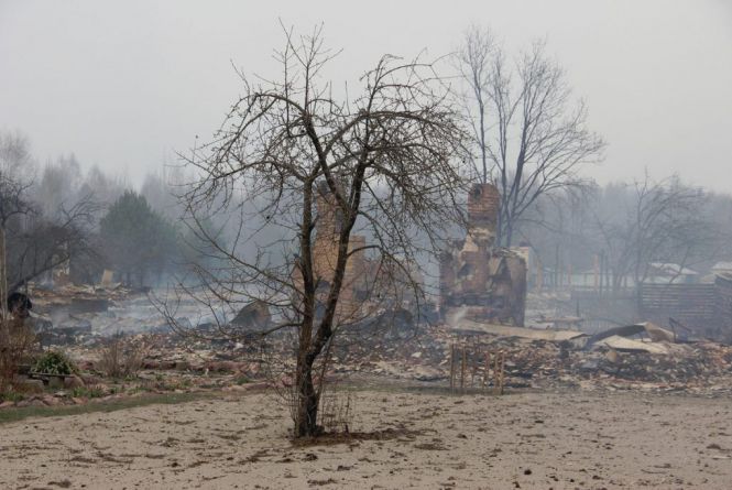 Уряд виділив кошти погорільцям та на ліквідацію наслідків через пожежі на Житомирщині