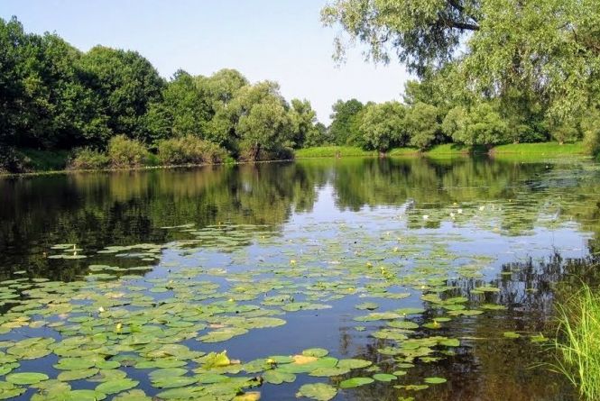 Zhitomirska Oblast Mozhe Otrimati 4 Ob Yekti Prirodno Zapovidnogo Fondu Miscevogo Znachennya 01 10 2020 20 Hvilin Zhitomir