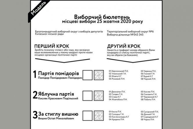 Vibori 2020 Cvk Roz Yasnila Poryadok Zapovnennya Viborchogo Byuletenya Z Miscevih Viboriv Video 12 10 2020 Zt 20minut Ua