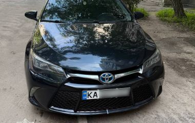 Патрульні розшукали водія, який на стоянці біля ТРЦ наїхав на собаку та залишив її помирати