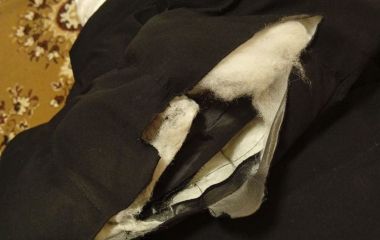 Собаки НАПАЛИ на дитину в Коростишеві, – соцмережі