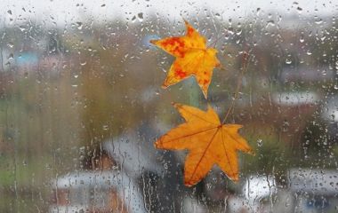 Найближчі дні у Житомирі будуть дощовими і прохолодними