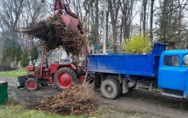 У Житомирі триває осіннє прибирання. Комунальні служби звітують про зроблену роботу