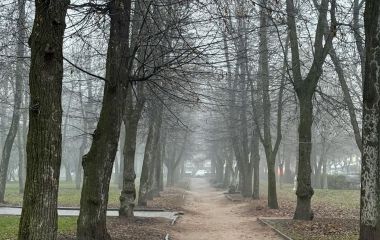 7 грудня: яке сьогодні свято, прикмети і заборони, прогноз погоди у Житомирі