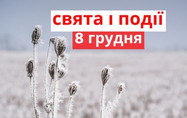 8 грудня: все про цей день, яке свято, що не можна робити і погода у Житомирі