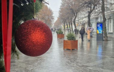 Михайлівську прикрасили живими ялинками