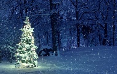 Різдво в Україні буде із справжніми морозами — прогноз погоди