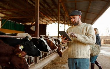В Україні почали діяти нові вимоги до благополуччя сільськогосподарських тварин під час їх утримання