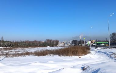 Зараз станції ЛУН реєструють у Житомирі значне забруднення повітря по всьому місту