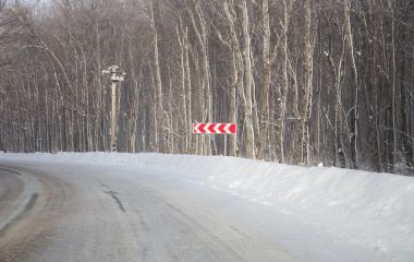 Снігопади на Житомирщині: ситуація на дорогах контрольована