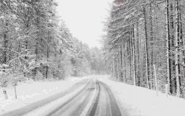 Сніг, часом з дощем, ожеледь і помірний мороз — погода у Житомирі