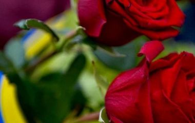 У Житомирі провели в останню путь мужнього Воїна Максима Нижника