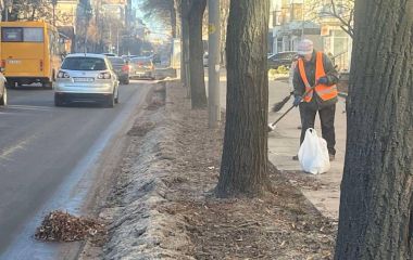 У Житомирі прибирають узбіччя після зими