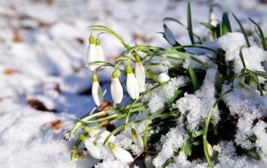 Похолодання і мокрий сніг: незабаром погода зміниться
