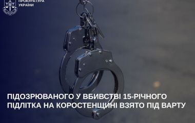 Підозрюваного у вбивстві 15-річного підлітка на Коростенщині взято під варту