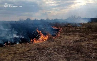 На Житомирщині за добу 12 разів горіла суха рослинність