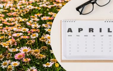 Перерахунок пенсій та допомога 1500 грн, кешбек на пальне і мобілізація: зміни квітня