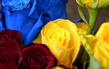 Через десять місяців Герой на щиті повернувся до Житомира — в останню путь провели Віталія Бурмістренка