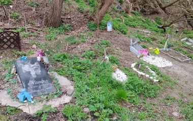 Пам’ять чи загроза: як Україна (і Житомирщина) шукає цивілізований підхід до поховання домашніх тварин