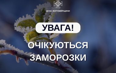 Заморозки на Житомирщині: будьте обережні!