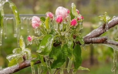 Україну накриває нова хвиля арктичного холоду — синоптики