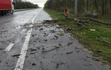 Біля 30-ти зламаних дерев, що перешкоджали руху транспорту, довелося прибирати дорожникам