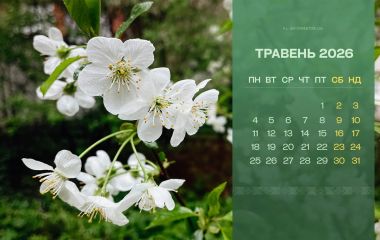 Зміни травня - 2026: мобілізація по-новому, втрата субсидій та безкоштовні ліки