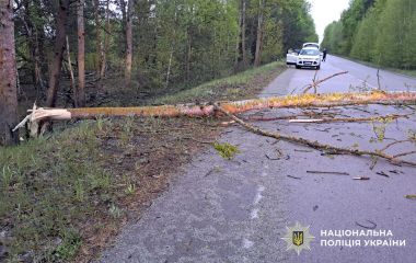 У Малинській громаді вночі на смерть розбився мотоцикліст