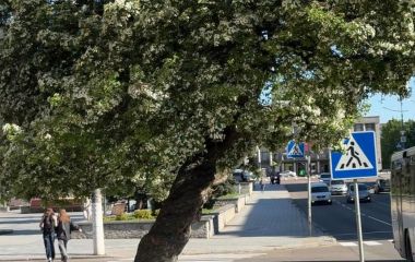 17 травня: яке сьогодні свято, прикмети і заборони, прогноз погоди у Житомирі