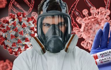 «Після COVID світ боїться навіть мишей: чи загрожує Житомирщині паніка навколо хантавірусу»